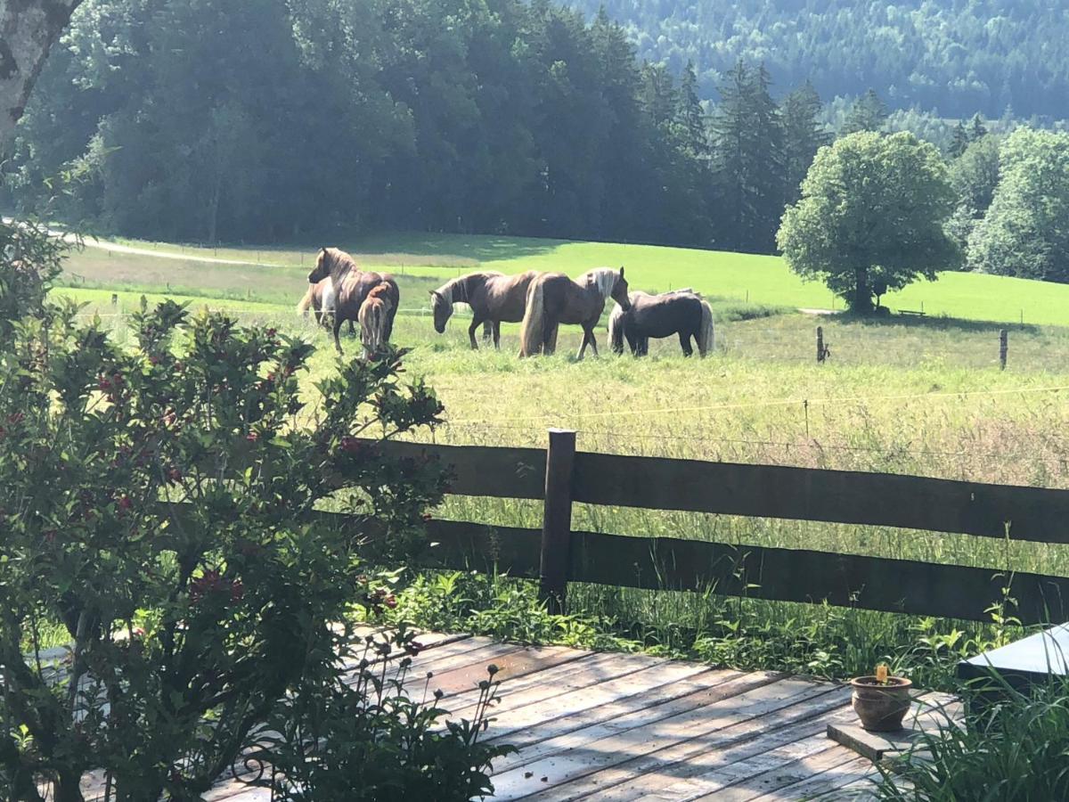 Ferienwohnung Sonnenlaeng Hechenberg Bagian luar foto